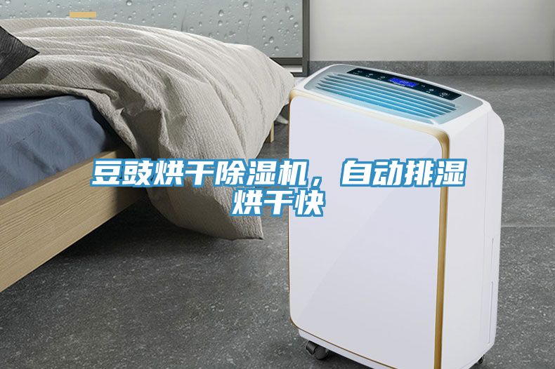 豆豉烘干除濕機，自動(dòng)排濕烘干快