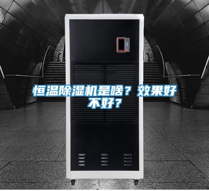 恒溫除濕機是啥？效果好不好？