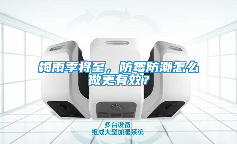 梅雨季將至，防霉防潮怎么做更有效？