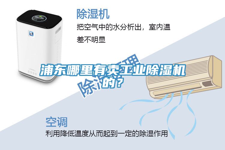 浦東哪里有賣(mài)工業(yè)除濕機的？