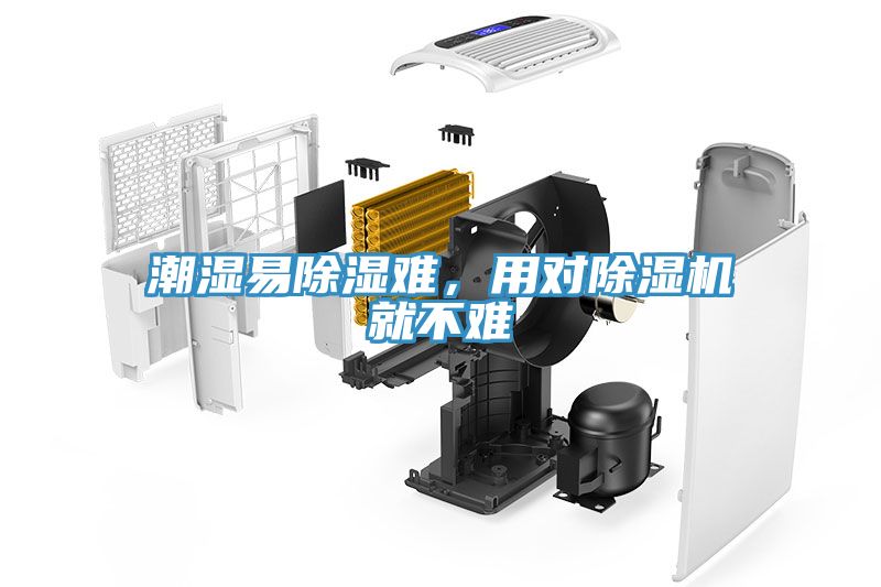 潮濕易除濕難，用對除濕機就不難