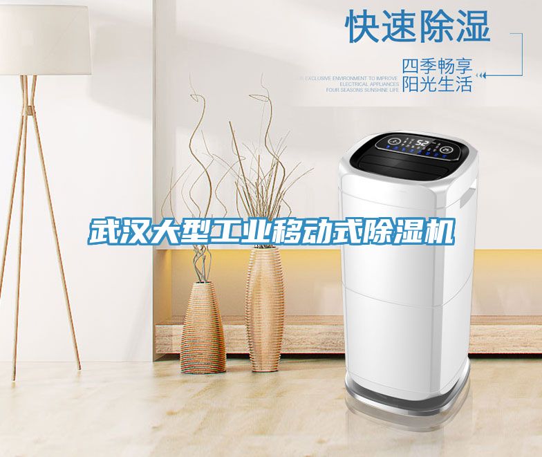 武漢大型工業(yè)移動(dòng)式除濕機
