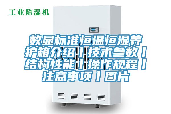 數顯標準恒溫恒濕養護箱介紹丨技術(shù)參數丨結構性能丨操作規程丨注意事項丨圖片