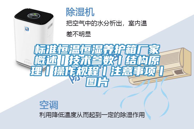 標準恒溫恒濕養護箱廠(chǎng)家概述丨技術(shù)參數丨結構原理丨操作規程丨注意事項丨圖片