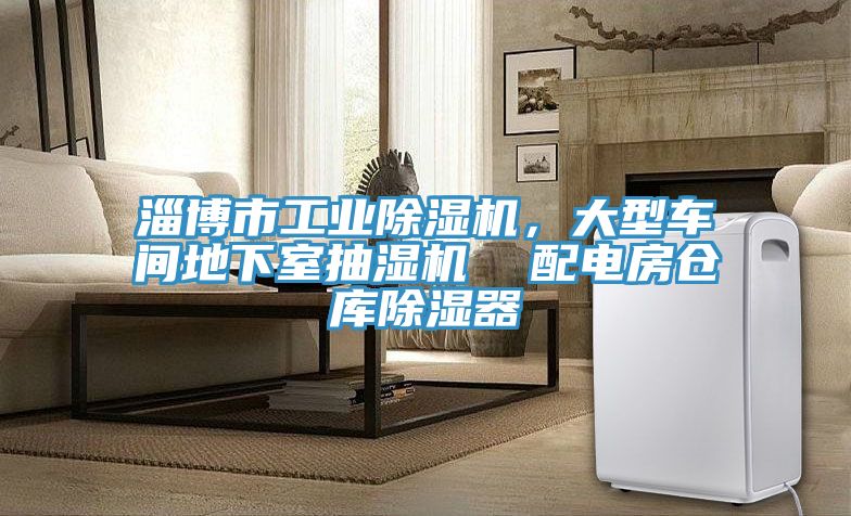 淄博市工業(yè)除濕機，大型車(chē)間地下室抽濕機  配電房倉庫除濕器