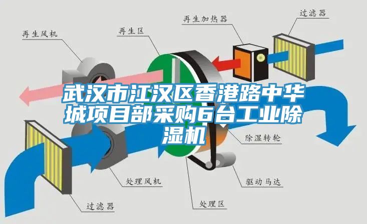 武漢市江漢區香港路中華城項目部采購6臺工業(yè)除濕機
