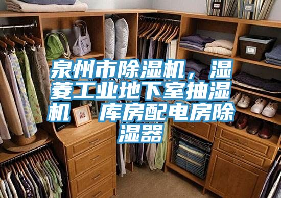 泉州市除濕機，濕菱工業(yè)地下室抽濕機  庫房配電房除濕器