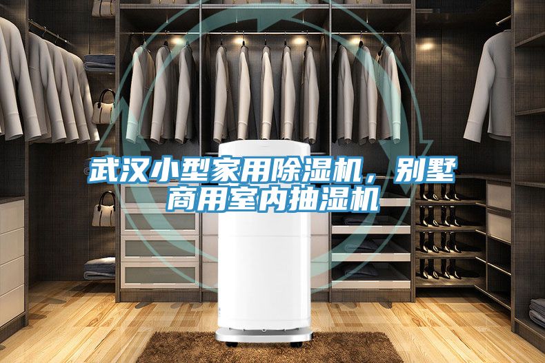 武漢小型家用除濕機，別墅商用室內抽濕機
