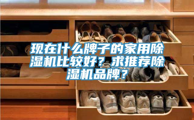 現在什么牌子的家用除濕機比較好？求推薦除濕機品牌？