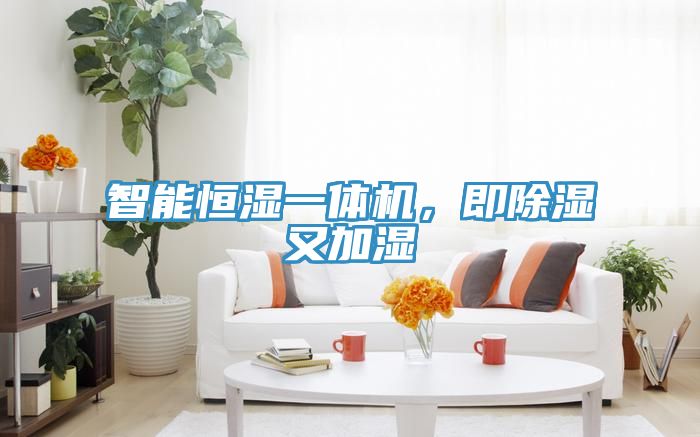 智能恒濕一體機，即除濕又加濕