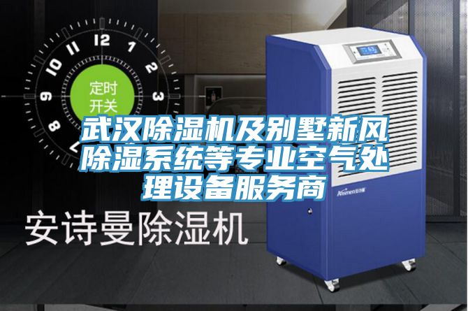 武漢除濕機及別墅新風(fēng)除濕系統等專(zhuān)業(yè)空氣處理設備服務(wù)商