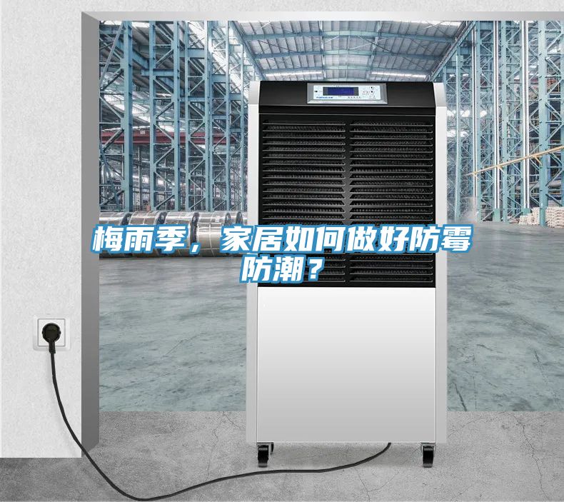 梅雨季，家居如何做好防霉防潮？