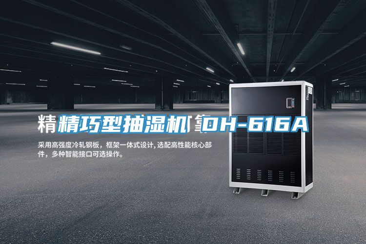 精巧型抽濕機 DH-616A