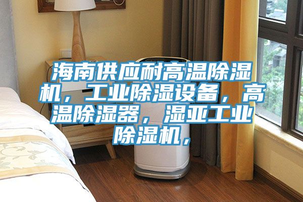 海南供應耐高溫除濕機，工業(yè)除濕設備，高溫除濕器，濕亞工業(yè)除濕機，