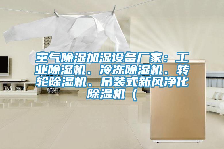 空氣除濕加濕設備廠(chǎng)家：工業(yè)除濕機、冷凍除濕機、轉輪除濕機、吊裝式新風(fēng)凈化除濕機（