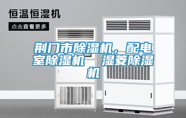 荊門(mén)市除濕機，配電室除濕機  濕菱除濕機