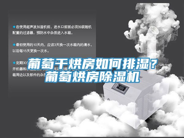 葡萄干烘房如何排濕？葡萄烘房除濕機
