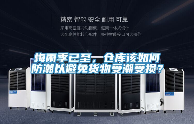 梅雨季已至，倉庫該如何防潮以避免貨物受潮受損？
