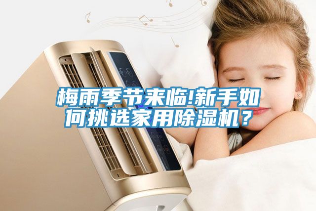 梅雨季節來(lái)臨!新手如何挑選家用除濕機？