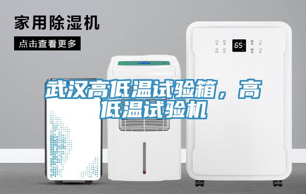 武漢高低溫試驗箱，高低溫試驗機