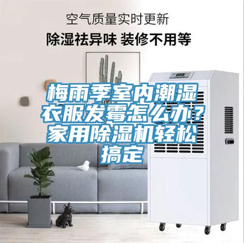 梅雨季室內潮濕衣服發(fā)霉怎么辦？家用除濕機輕松搞定