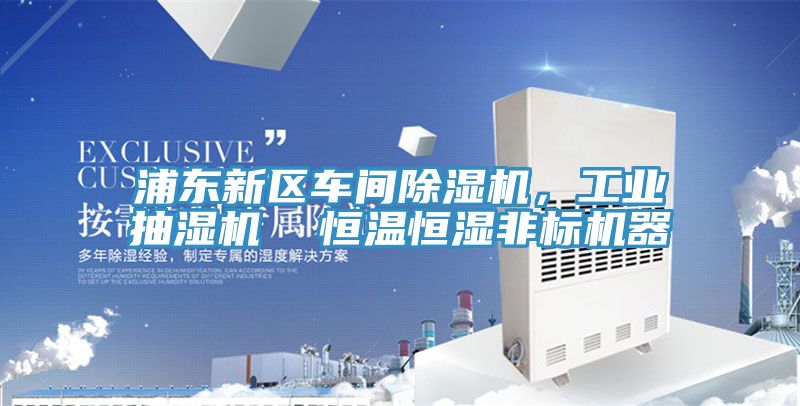 浦東新區車(chē)間除濕機，工業(yè)抽濕機  恒溫恒濕非標機器