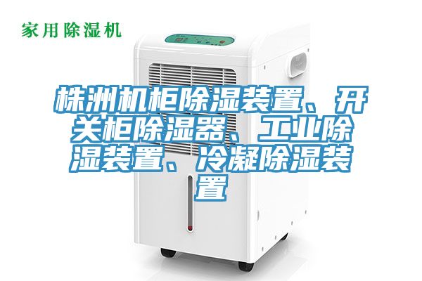 株洲機柜除濕裝置、開(kāi)關(guān)柜除濕器、工業(yè)除濕裝置、冷凝除濕裝置