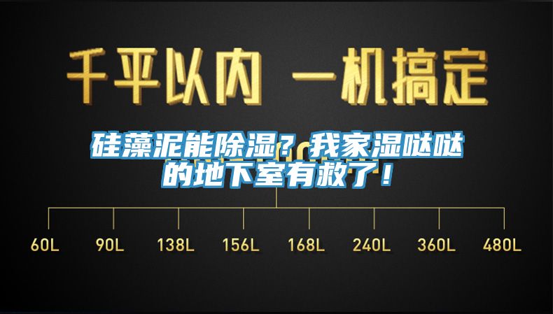 硅藻泥能除濕？我家濕噠噠的地下室有救了！