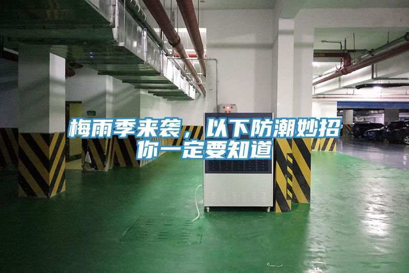 梅雨季來(lái)襲，以下防潮妙招你一定要知道