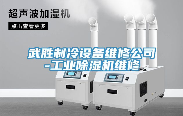 武勝制冷設備維修公司-工業(yè)除濕機維修