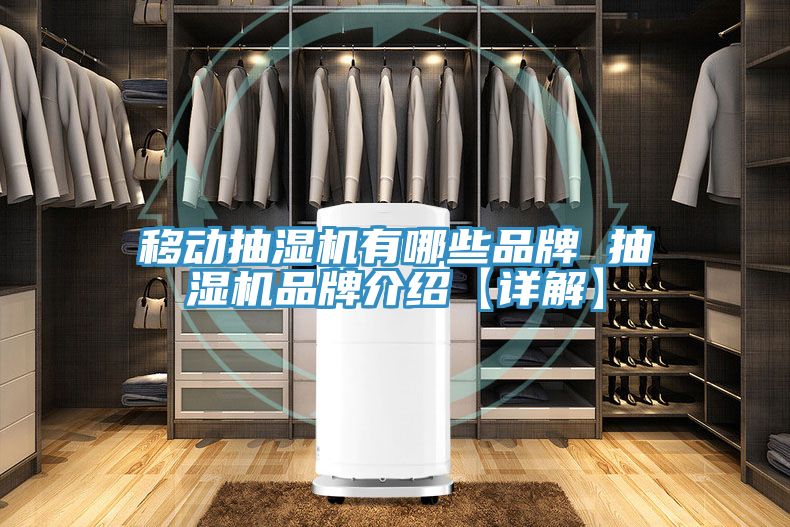 移動(dòng)抽濕機有哪些品牌 抽濕機品牌介紹【詳解】