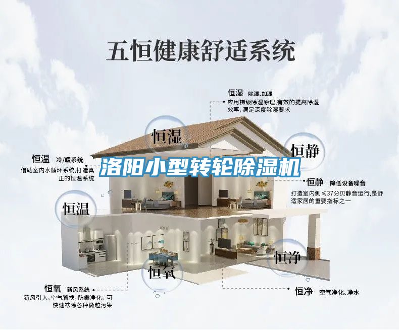 洛陽(yáng)小型轉輪除濕機