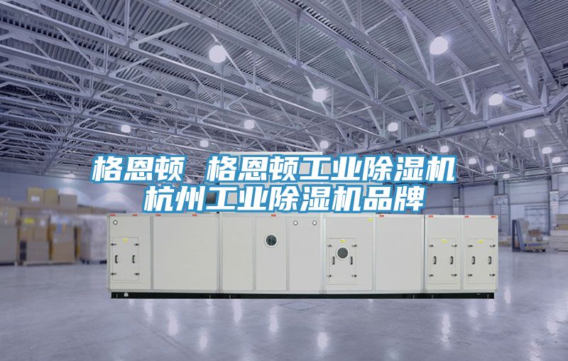 格恩頓 格恩頓工業(yè)除濕機 杭州工業(yè)除濕機品牌