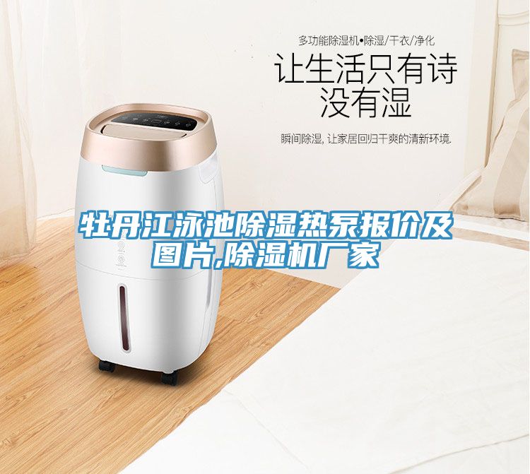 牡丹江泳池除濕熱泵報價(jià)及圖片,除濕機廠(chǎng)家