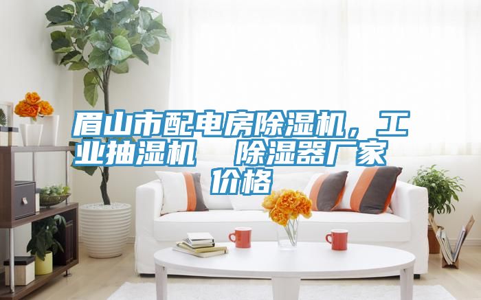 眉山市配電房除濕機，工業(yè)抽濕機  除濕器廠(chǎng)家 價(jià)格