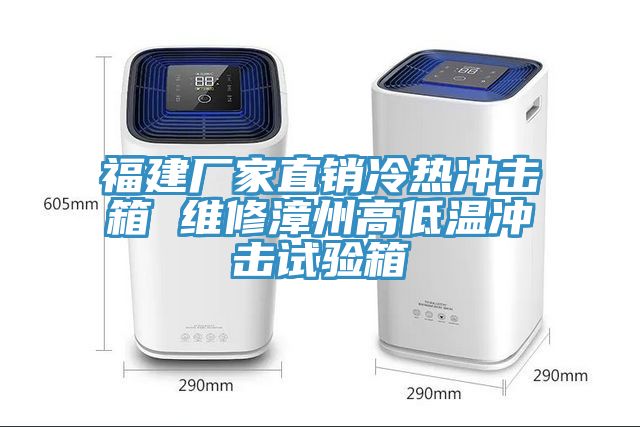 福建廠(chǎng)家直銷(xiāo)冷熱沖擊箱 維修漳州高低溫沖擊試驗箱