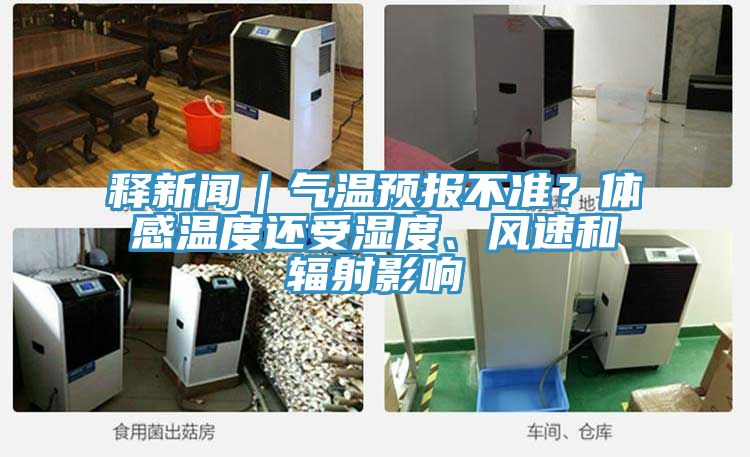 釋新聞｜氣溫預報不準？體感溫度還受濕度、風(fēng)速和輻射影響