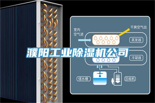 濮陽(yáng)工業(yè)除濕機公司