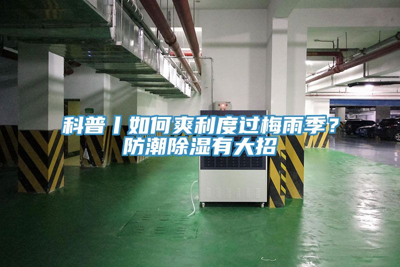 科普丨如何爽利度過(guò)梅雨季？防潮除濕有大招