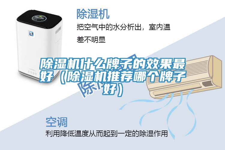 除濕機什么牌子的效果最好（除濕機推薦哪個(gè)牌子好）