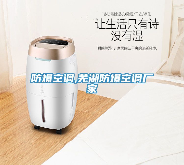 防爆空調,蕪湖防爆空調廠(chǎng)家