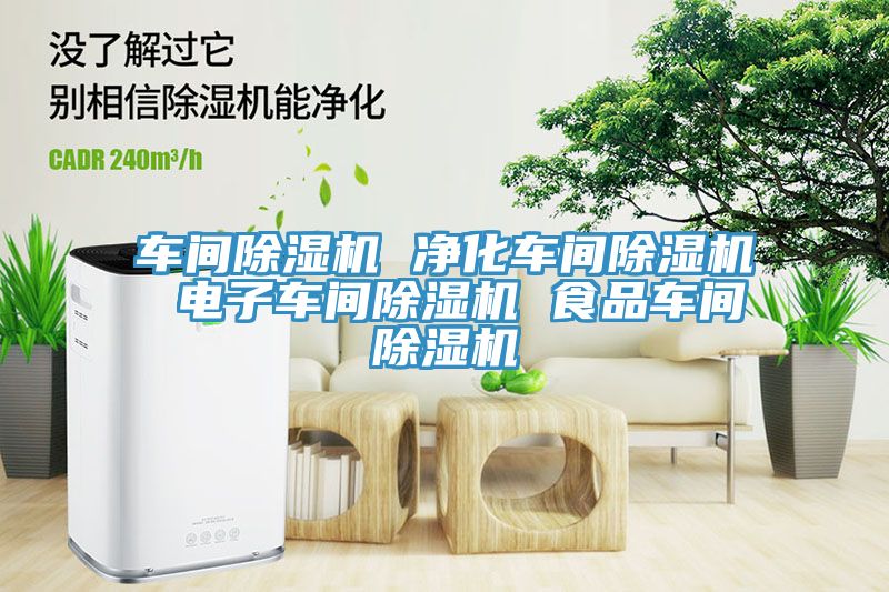 車(chē)間除濕機 凈化車(chē)間除濕機 電子車(chē)間除濕機 食品車(chē)間除濕機