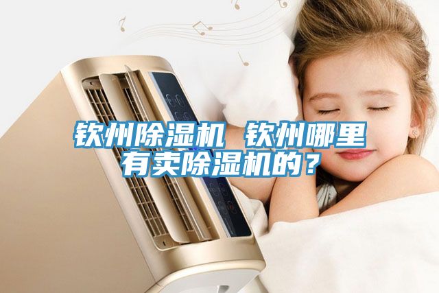 欽州除濕機 欽州哪里有賣(mài)除濕機的？