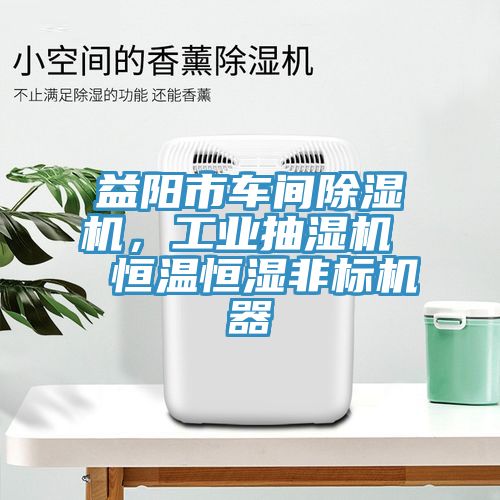 益陽(yáng)市車(chē)間除濕機，工業(yè)抽濕機  恒溫恒濕非標機器