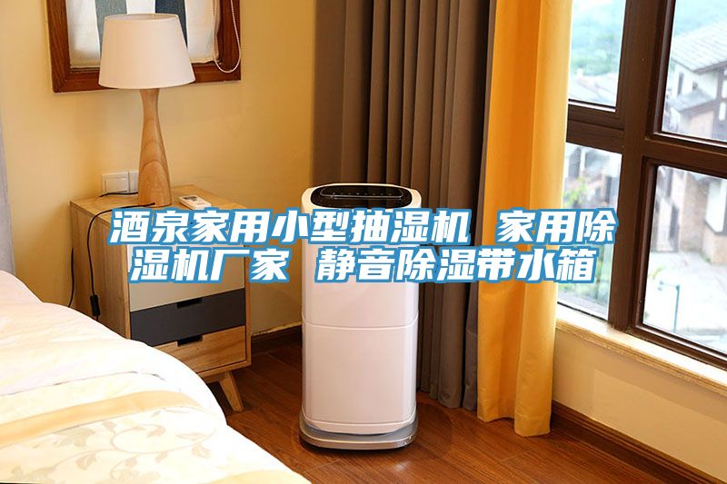 酒泉家用小型抽濕機 家用除濕機廠(chǎng)家 靜音除濕帶水箱