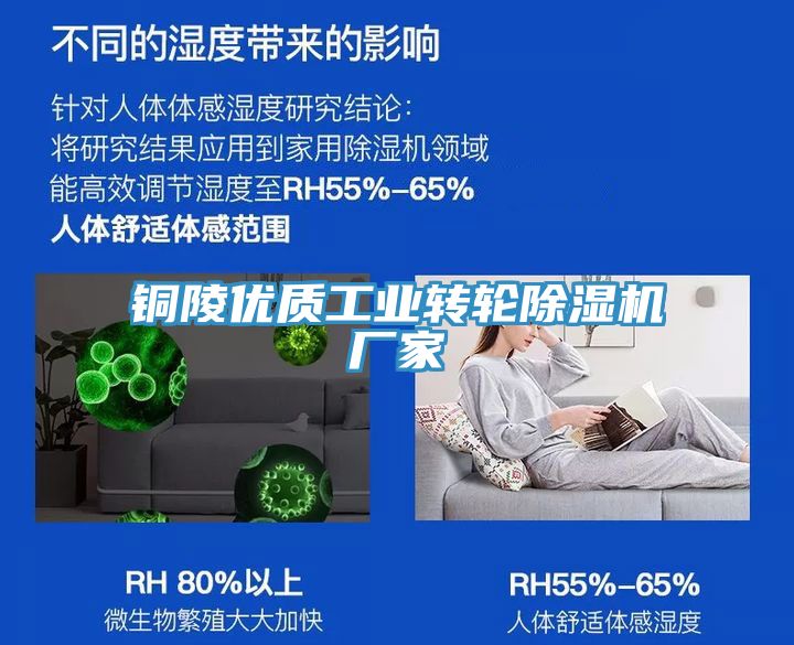 銅陵優(yōu)質(zhì)工業(yè)轉輪除濕機廠(chǎng)家