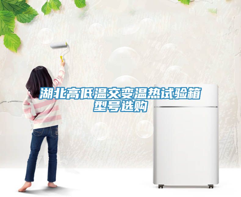 湖北高低溫交變溫熱試驗箱型號選購