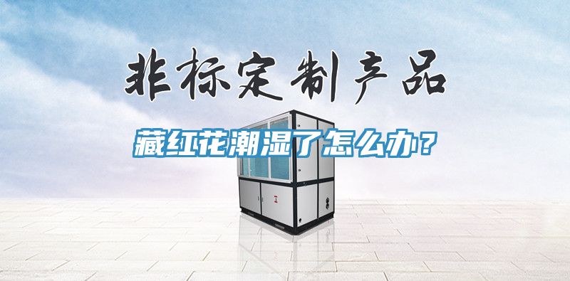 藏紅花潮濕了怎么辦？