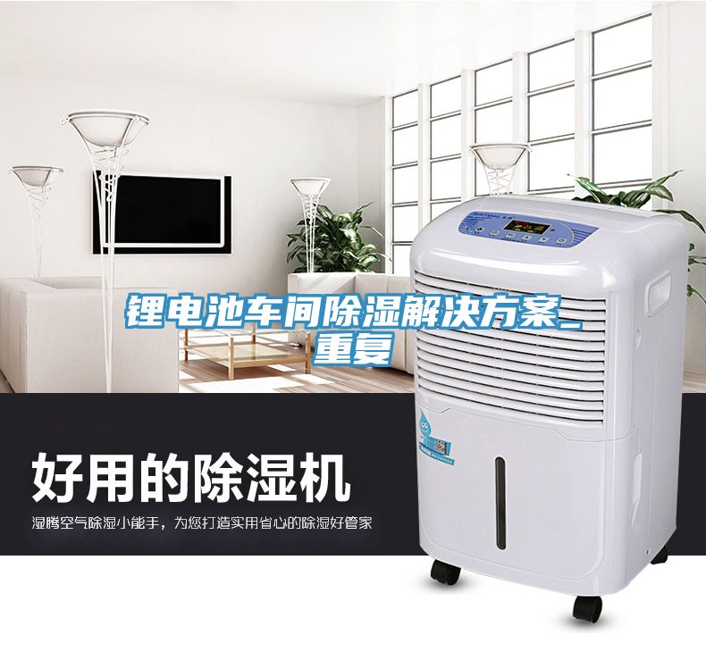 鋰電池車(chē)間除濕解決方案_重復