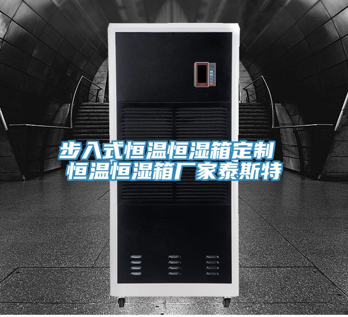 步入式恒溫恒濕箱定制 恒溫恒濕箱廠(chǎng)家泰斯特